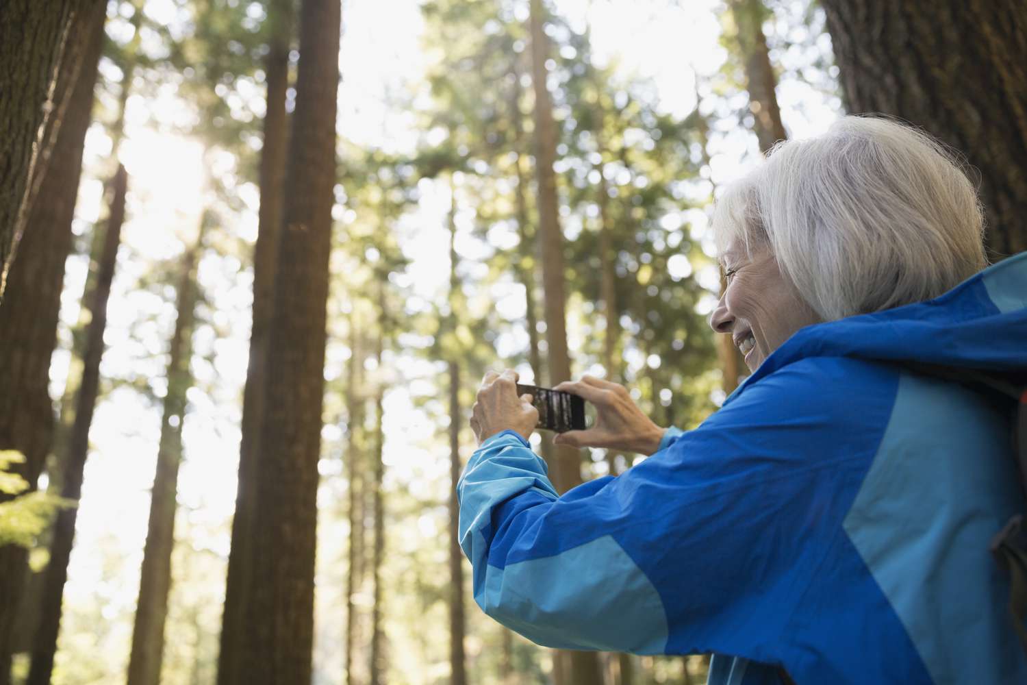 老年妇女在树林里拍摄树木＂class=