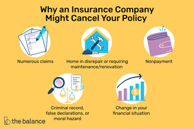 为什么保险公司可能会取消你的保单:索赔众多，房屋年久失修或需要维护/翻新，拒付，犯罪记录，虚假声明，或道德风险，你的财务状况的变化