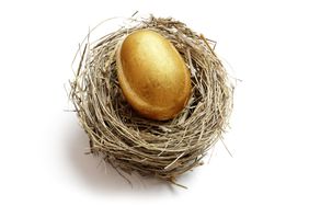 金蛋躺在鸟巢里，代表为退休存钱。