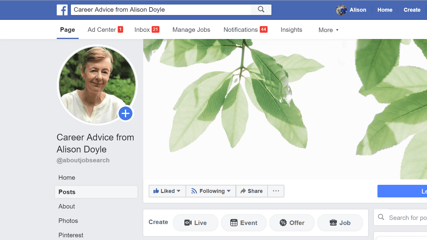 Facebook上的Alison Doyle职业建议