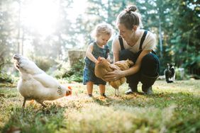 一个女人抱着一只小鸡，一个蹒跚学步的孩子正在抚摸它。