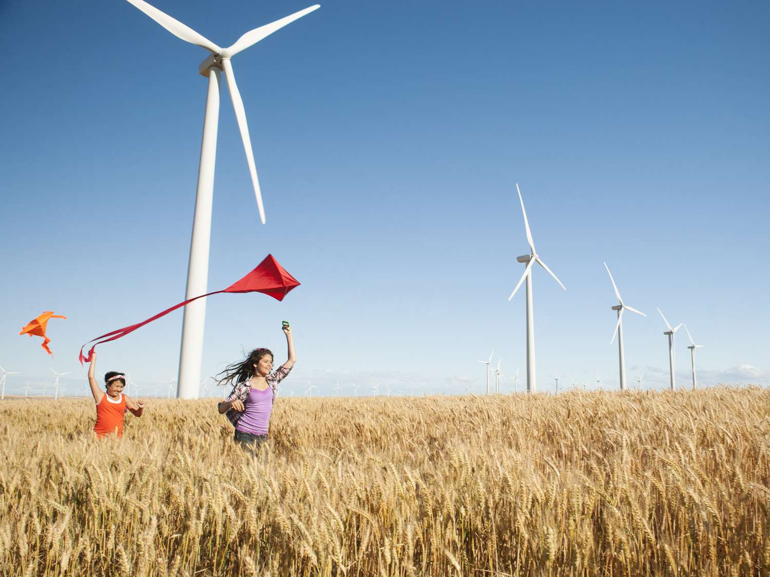 孩子们在麦田里放风筝，背景是风力涡轮机