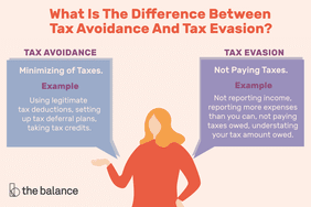 避税和逃税的区别是什么?