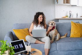 女人和狗坐在沙发上，在笔记本电脑上工作