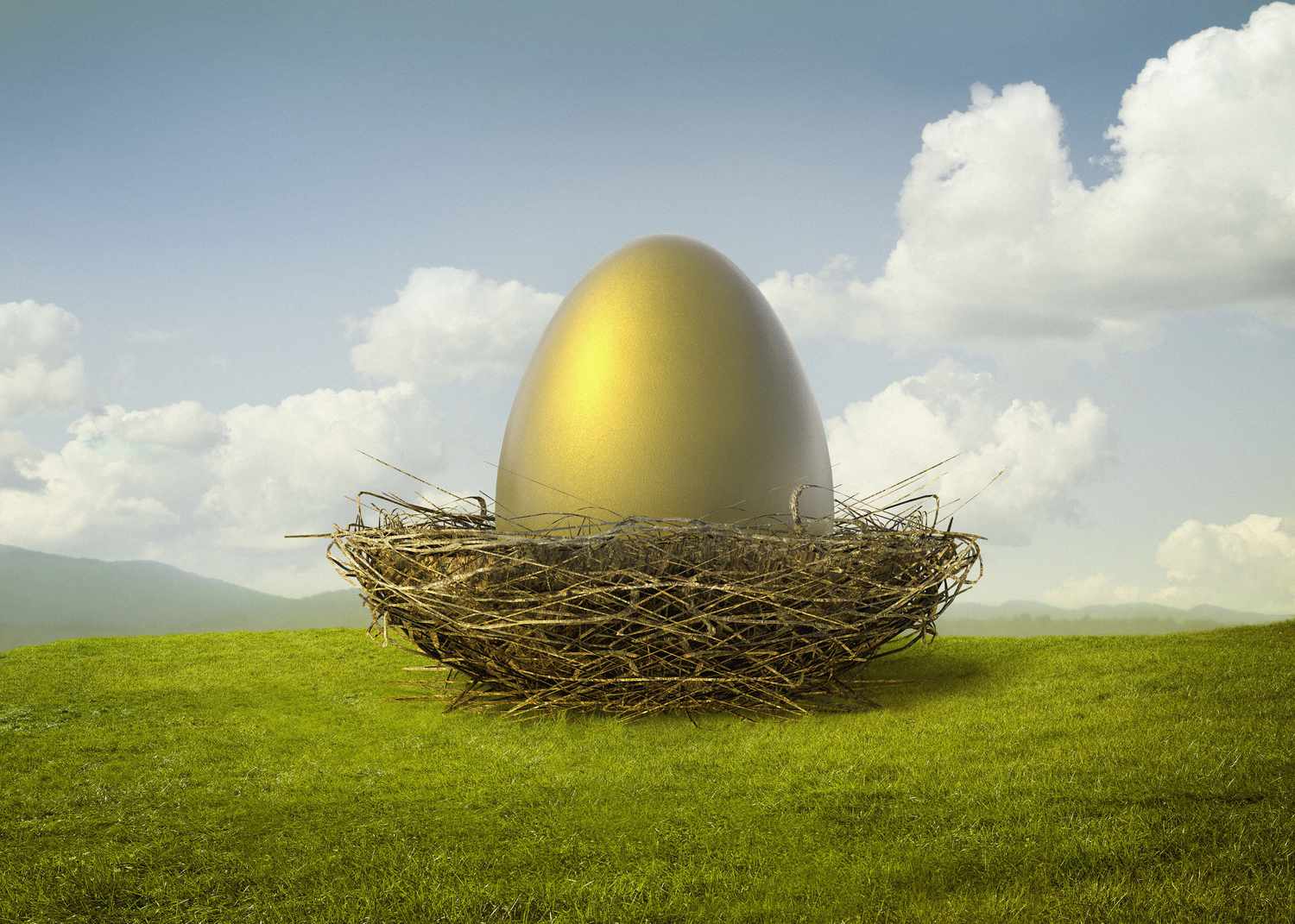 金蛋栖息在鸟巢中，象征着健康的金融安全网的美国梦