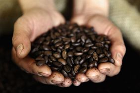 两只手握着一把危地马拉咖啡豆
