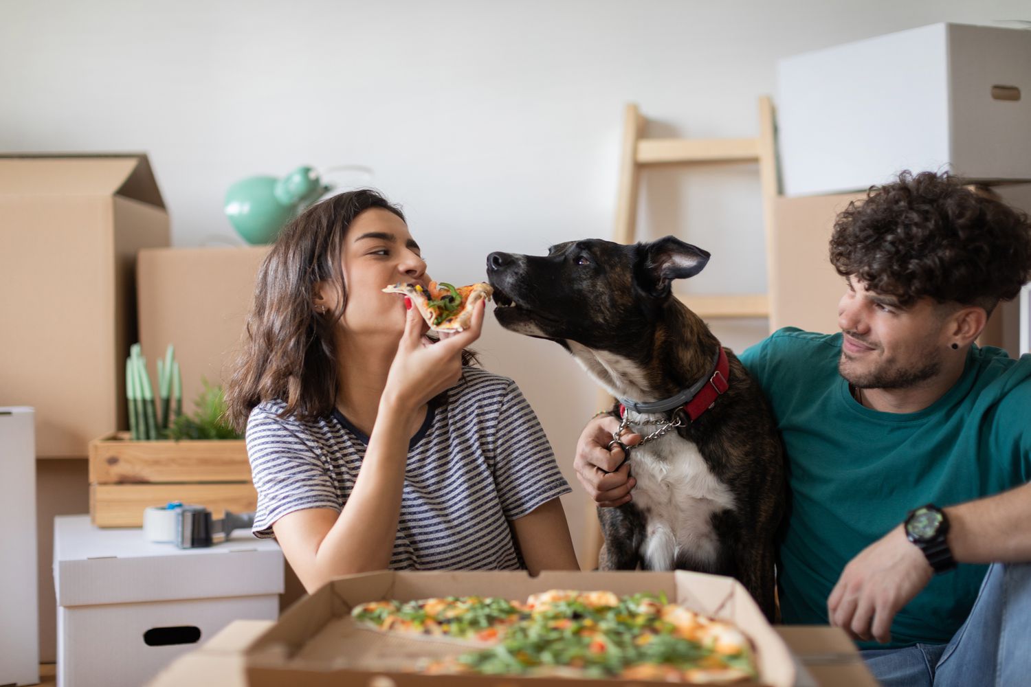 一对年轻夫妇和他们的狗狗在新家的地板上吃披萨
