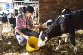 在农场喂小牛的妇女＂>
          </noscript>
         </div>
        </div>
       </div>
       <div class=