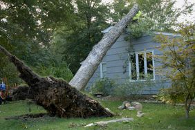 大树被连根拔起,靠在龙卷风袭击后屋顶的房子”>
          </noscript>
         </div>
        </div>
       </div>
       <div class=
