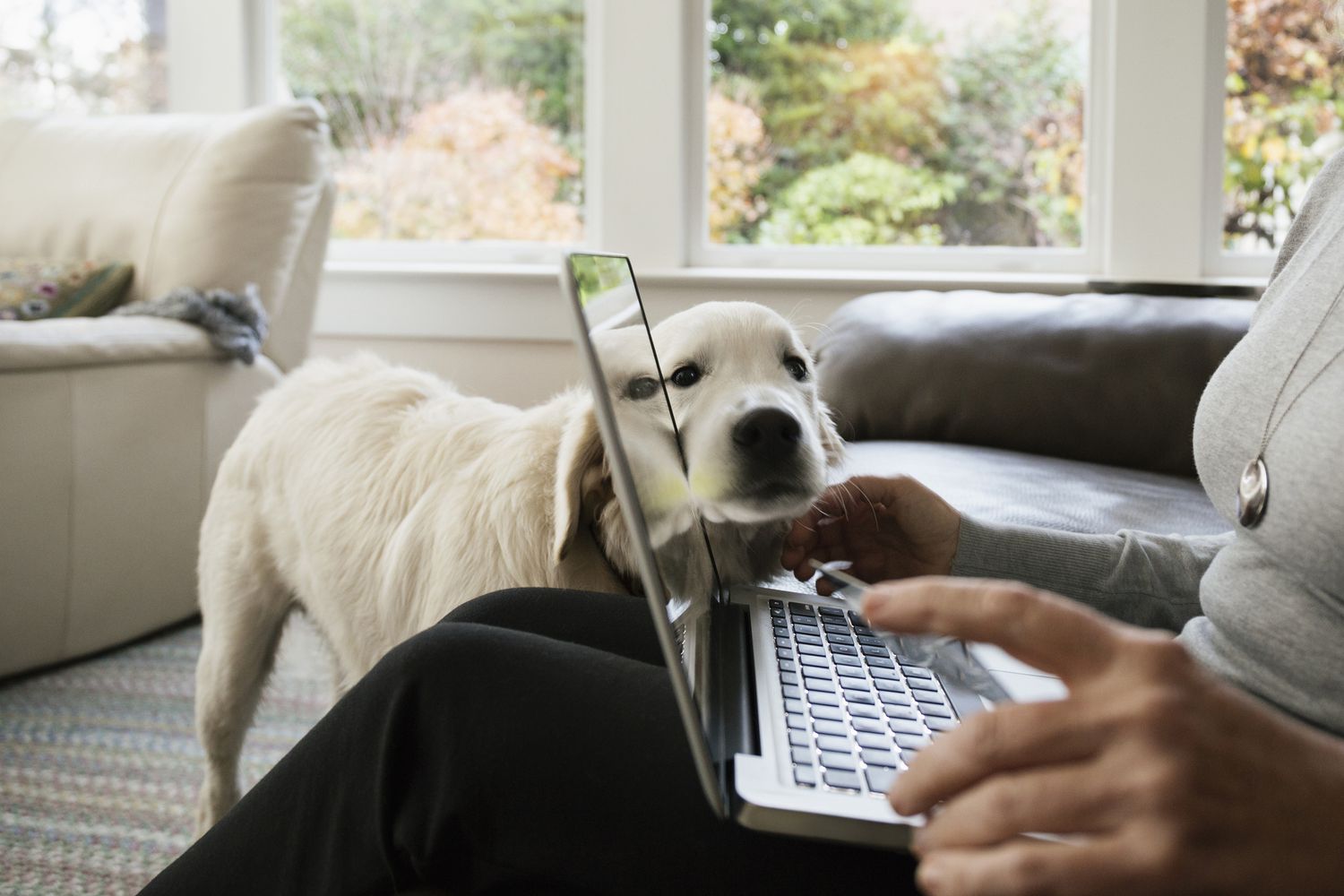 一名女子在她的笔记本电脑上比较抵押贷款的价格，她的狗在一旁看着。