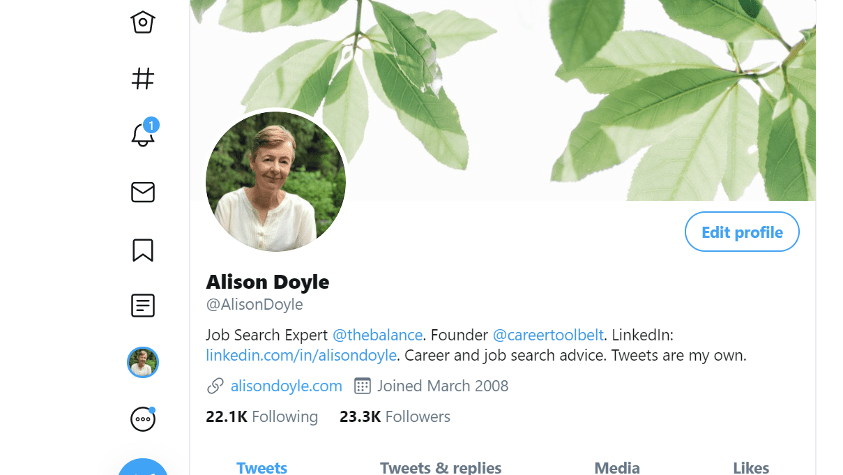 Twitter简介Alison Doyle