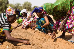 非洲妇女在农业工作”>
          </noscript>
         </div>
        </div>
       </div>
       <div class=