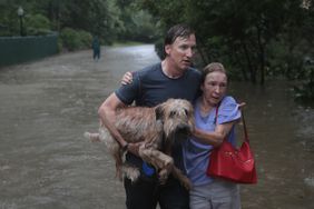 一对夫妇带着他们的狗离开洪水灾区