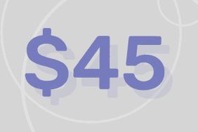 45美元——哈佛大学的一组研究人员估计，这是高收入家庭的600美元刺激支票中实际花费的金额。＂>
          </noscript>
         </div>
        </div>
       </div>
       <div class=