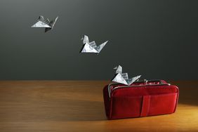 货币形状的鸟飞出一个开放的钱包
