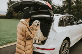 金毛猎犬坐在汽车行李箱,期待一个旅程,他的主人站在他身边