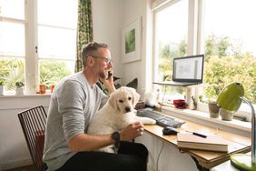 一个微笑的男人看着他的投资，在家庭办公室打电话，而他的狗坐在他的腿上