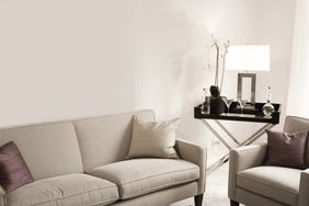 显示沙发、椅子、桌子、灯和空白墙所需要的必需品来装饰你的第一套公寓