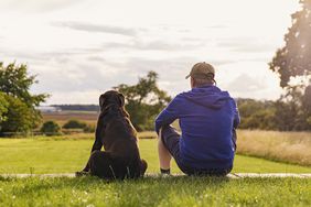 一个男人和他的狗坐在公园里欣赏风景