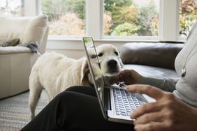 一名女子在她的笔记本电脑上比较抵押贷款的价格，她的狗在一旁看着。＂>
          </noscript>
         </div>
        </div>
       </div>
       <div class=