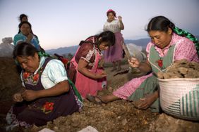 墨西哥妇女将粘土分开制作陶器