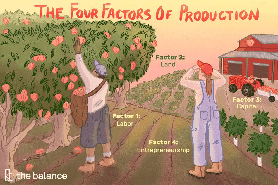 图片显示两个人在桃子农场工作，远处有一个红色的谷仓。上面写着:“生产的四个要素。因素1:劳动力，因素2:土地，因素3:资本，因素4:企业家精神。”