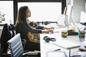 Businesswoman sitting at office workstation working on computer with dog sitting on her lap.