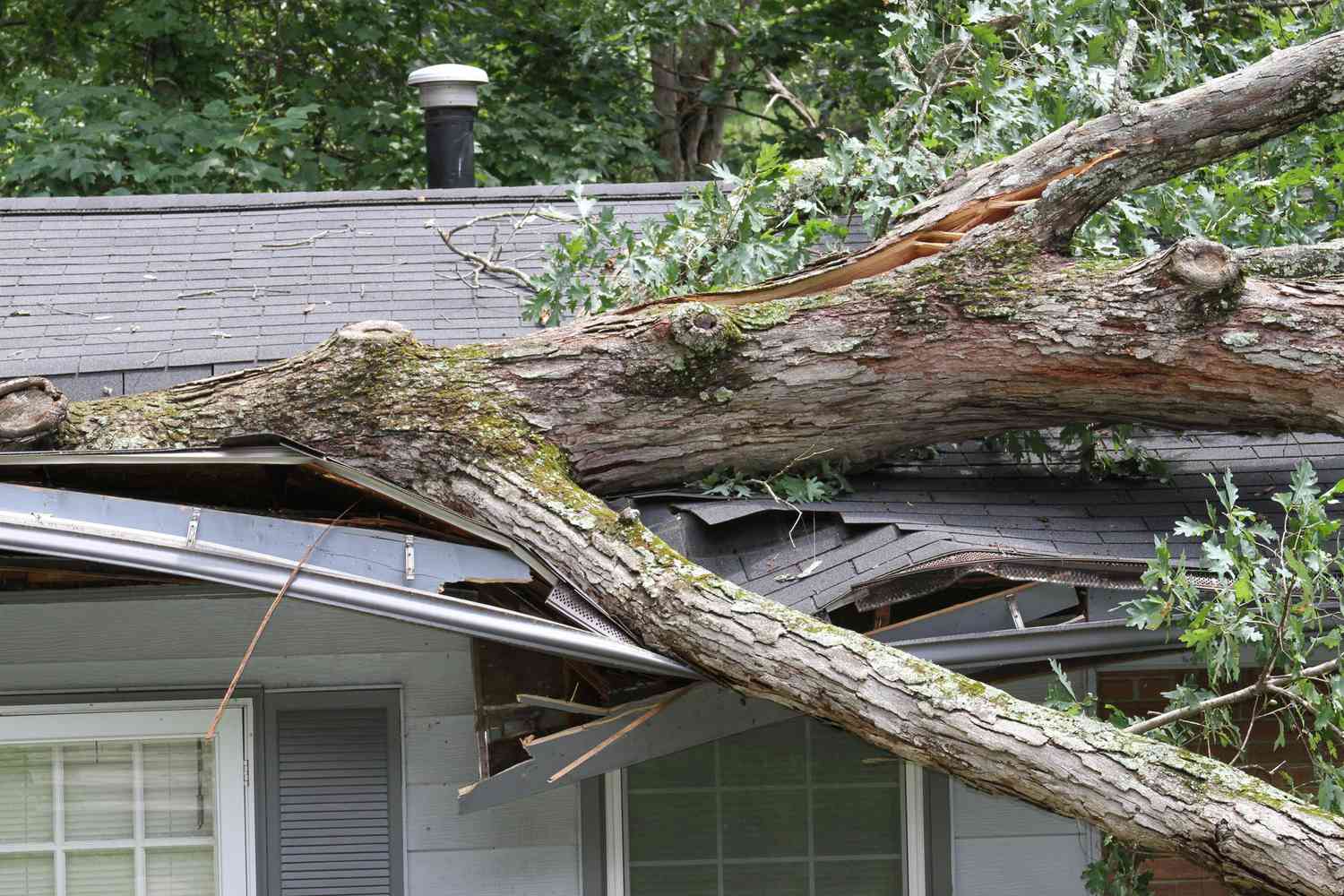 屋顶上倒下的大树在暴风雨中裂开了