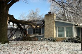 一根大树枝从一栋以前整洁的房子的屋顶上掉了下来。
