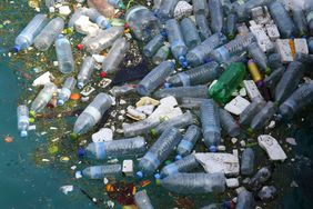 塑料瓶和聚苯乙烯污染漂浮在水中