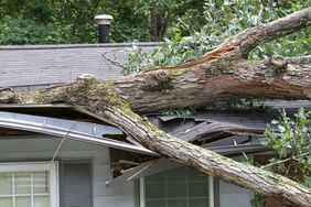 屋顶上倒下的大树在暴风雨中裂开了。