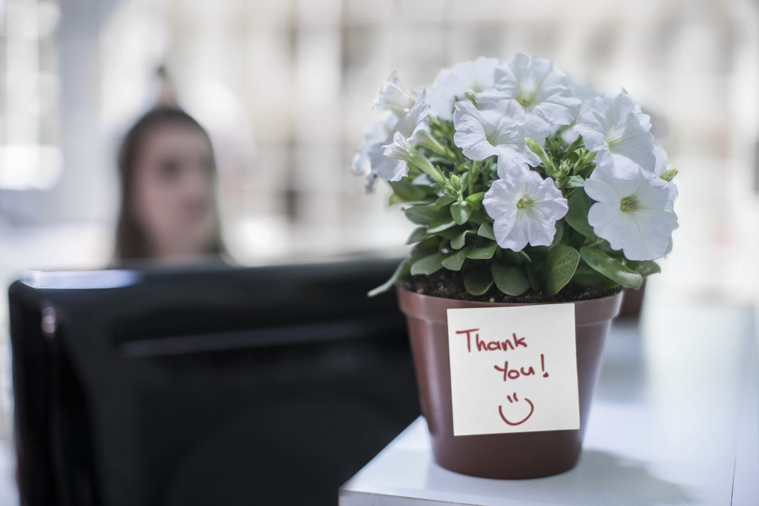 办公室桌子上盆栽植物和感谢信